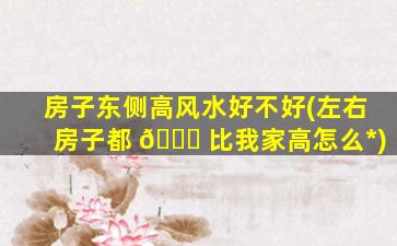 房子东侧高风水好不好(左右房子都 🐘 比我家高怎么*
)